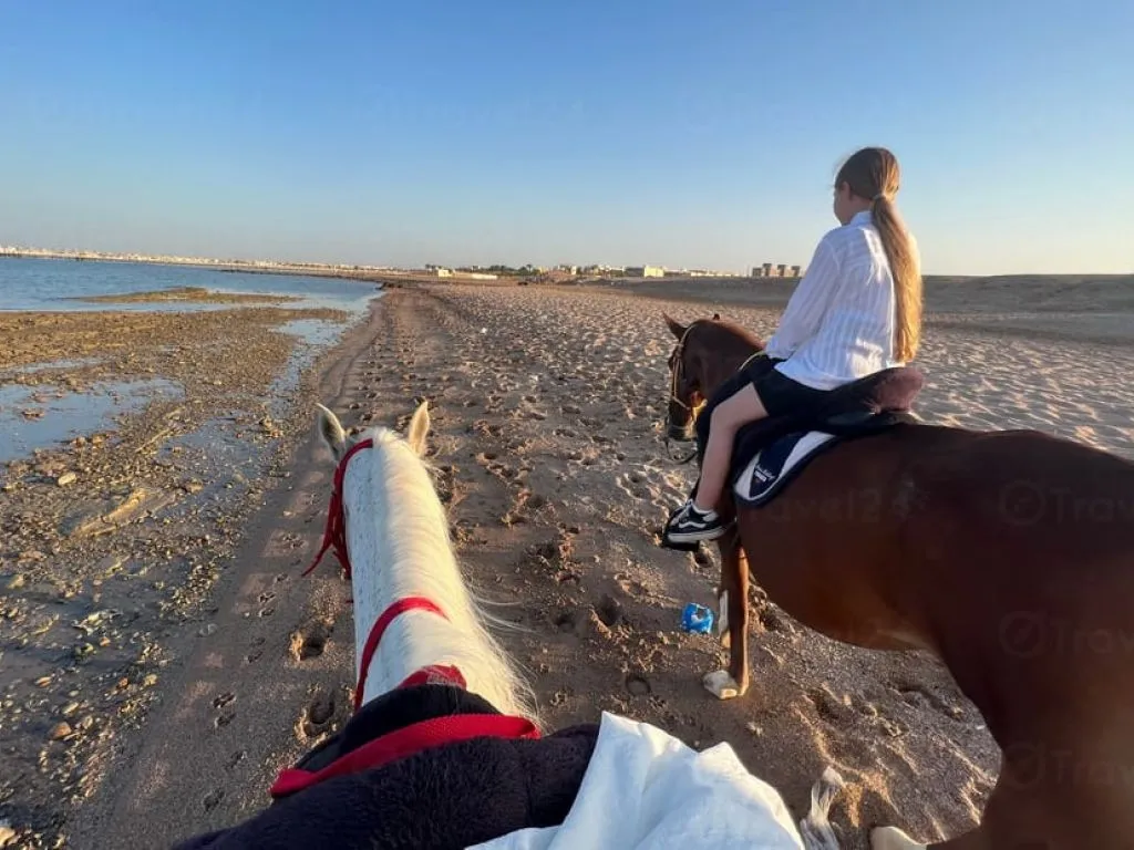 Horse Riding Adventure – Hurghada horse-riding-adventure-hurghada/horse-riding-adventure-hurghada-2.jpeg