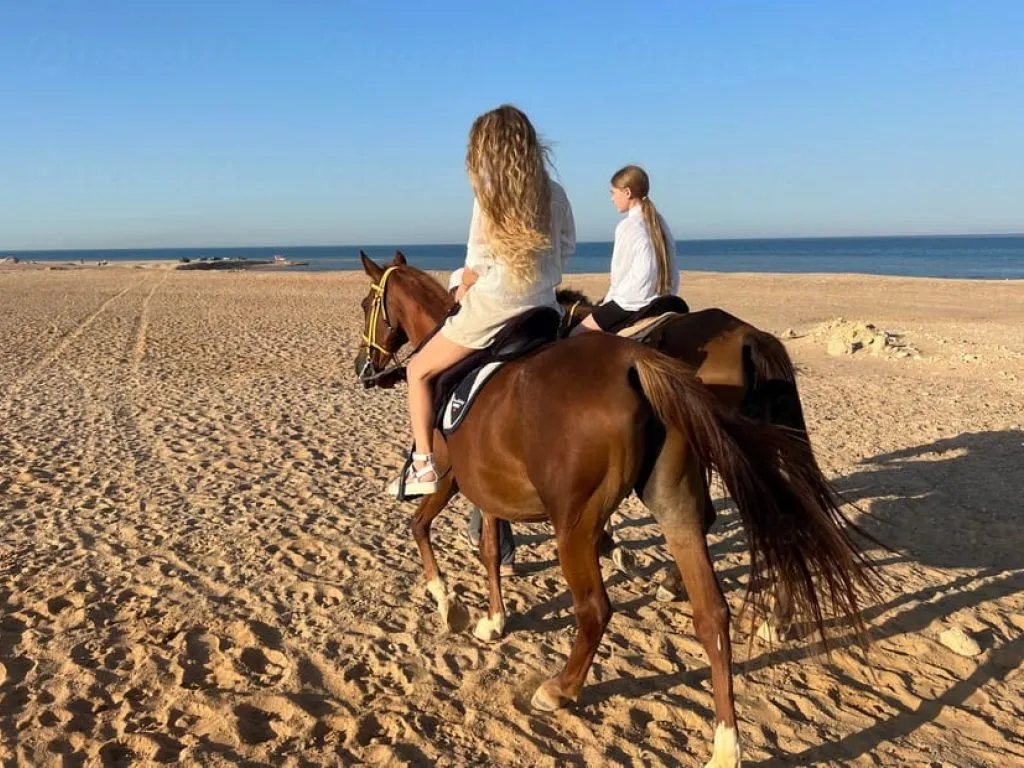 Horse Riding Adventure – Hurghada horse-riding-adventure-hurghada/horse-riding-adventure-hurghada-3.jpeg
