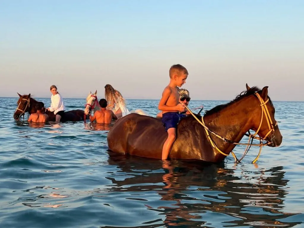 Horse Riding Adventure – Hurghada horse-riding-adventure-hurghada/horse-riding-adventure-hurghada.jpeg