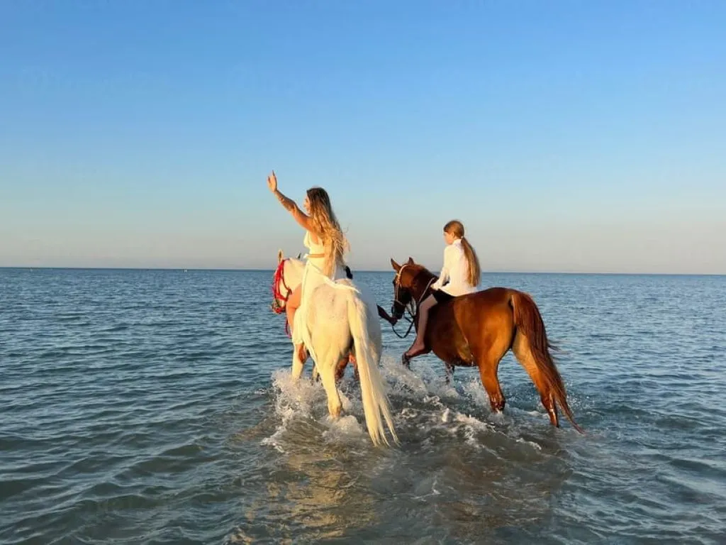 Horse Riding Adventure – Hurghada horse-riding-adventure-hurghada/horse-riding-adventure-hurghada_-1.jpeg