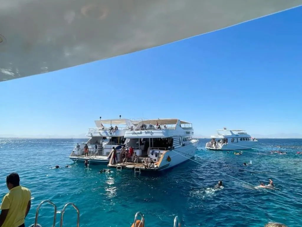 Red Sea Diving Adventure – Hurghada red-sea-diving-adventure-hurghada/red-sea-diving-adventure-hurghada-4.jpg