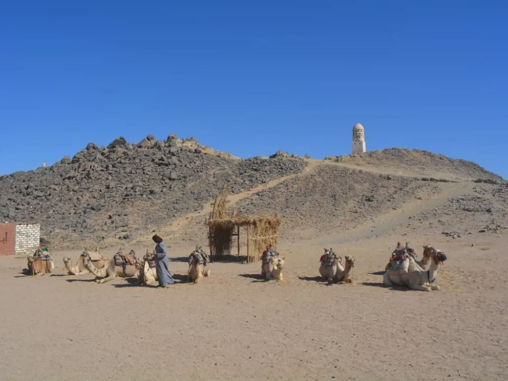 Stargazing Safari in hurghada stargazing-safari-in-hurghada/stargazing-safari-in-hurghada_-_13.jpeg