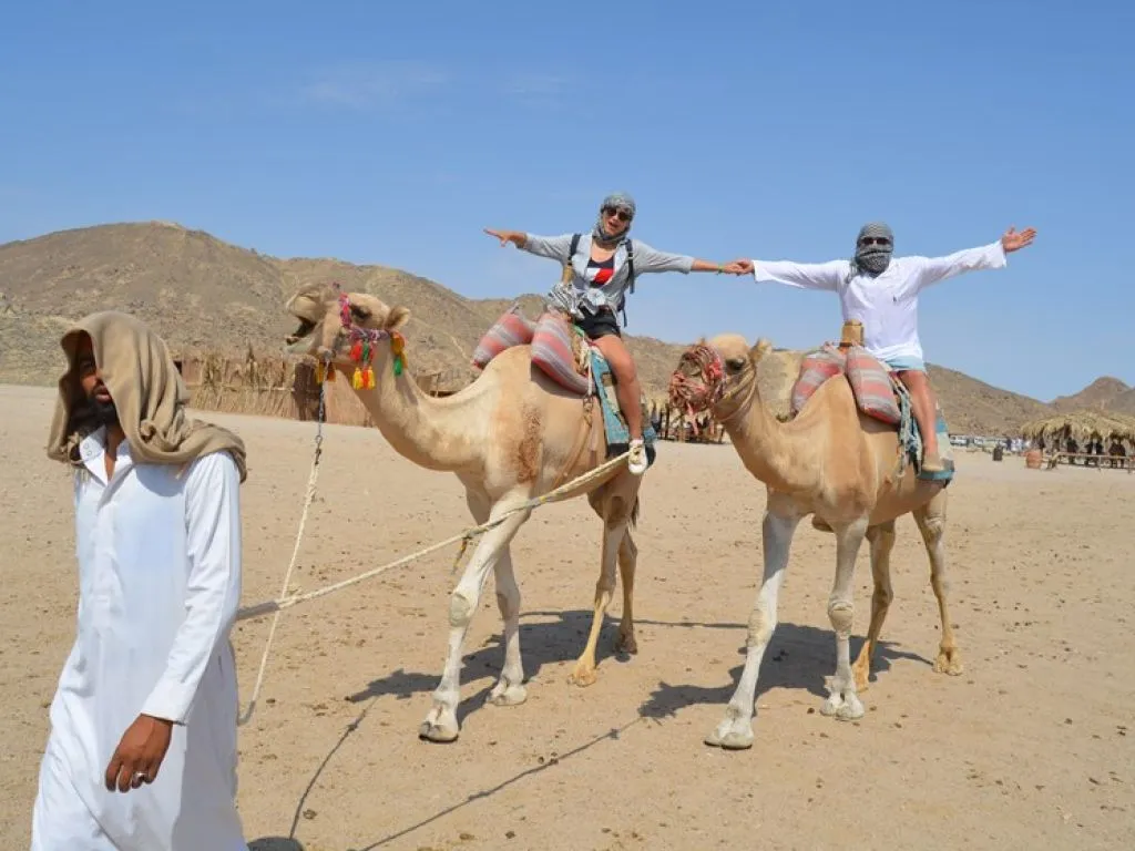 Super Safari super-safari/super-safari-5.jpeg